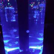 ヒメ日記 2024/12/09 20:53 投稿 かなめ 熟女の風俗最終章 新宿店