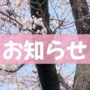 ヒメ日記 2025/03/30 08:13 投稿 尾崎しずか 神戸ホットポイント