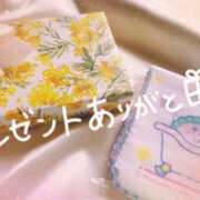 ヒメ日記 2025/04/03 18:44 投稿 尾崎しずか 神戸ホットポイント