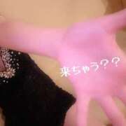 ヒメ日記 2025/08/16 18:24 投稿 尾崎しずか 神戸ホットポイント