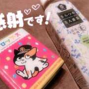 尾崎しずか ねこ🐈 神戸ホットポイント