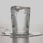 ヒメ日記 2024/12/15 09:15 投稿 やまと 奥鉄オクテツ大阪