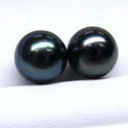 ヒメ日記 2025/01/17 10:15 投稿 やまと 奥鉄オクテツ大阪