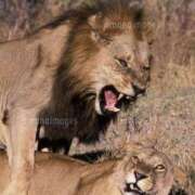 ヒメ日記 2025/05/14 10:20 投稿 やまと 奥鉄オクテツ大阪