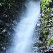 ヒメ日記 2025/05/15 17:20 投稿 やまと 奥鉄オクテツ大阪