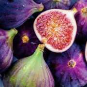 ヒメ日記 2025/08/20 18:00 投稿 やまと 奥鉄オクテツ大阪