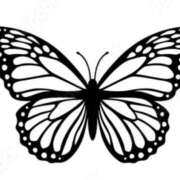 ヒメ日記 2025/09/03 15:10 投稿 やまと 奥鉄オクテツ大阪