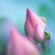 ヒメ日記 2025/09/19 08:55 投稿 やまと 奥鉄オクテツ大阪