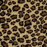 ヒメ日記 2025/10/02 14:20 投稿 やまと 奥鉄オクテツ大阪