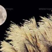 ヒメ日記 2025/10/05 01:55 投稿 やまと 奥鉄オクテツ大阪