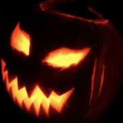 ヒメ日記 2025/10/22 09:00 投稿 やまと 奥鉄オクテツ大阪