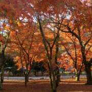 ヒメ日記 2025/11/12 10:00 投稿 やまと 奥鉄オクテツ大阪