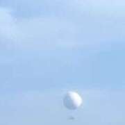 ヒメ日記 2025/11/16 14:10 投稿 やまと 奥鉄オクテツ大阪