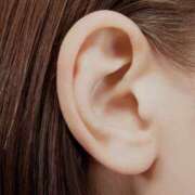 ヒメ日記 2025/11/28 09:30 投稿 やまと 奥鉄オクテツ大阪