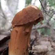 ヒメ日記 2026/01/09 11:45 投稿 やまと 奥鉄オクテツ大阪