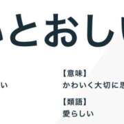 ヒメ日記 2026/01/30 08:30 投稿 やまと 奥鉄オクテツ大阪