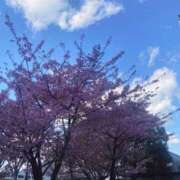 ヒメ日記 2025/03/18 19:16 投稿 実（ミノリ） アバンチュール(五反田)