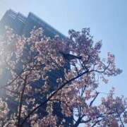 ヒメ日記 2025/03/25 12:31 投稿 実（ミノリ） アバンチュール(五反田)