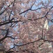 ヒメ日記 2025/04/10 11:46 投稿 実（ミノリ） アバンチュール(五反田)