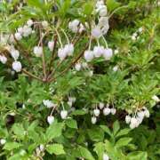 ヒメ日記 2025/04/18 06:46 投稿 実（ミノリ） アバンチュール(五反田)