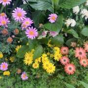 ヒメ日記 2025/04/22 18:16 投稿 実（ミノリ） アバンチュール(五反田)