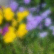 ヒメ日記 2025/05/23 23:16 投稿 実（ミノリ） アバンチュール(五反田)