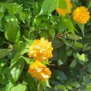 ヒメ日記 2025/06/05 20:16 投稿 実（ミノリ） アバンチュール(五反田)