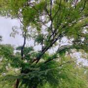 ヒメ日記 2025/06/12 19:16 投稿 実（ミノリ） アバンチュール(五反田)