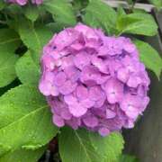 ヒメ日記 2025/07/09 07:16 投稿 実（ミノリ） アバンチュール(五反田)