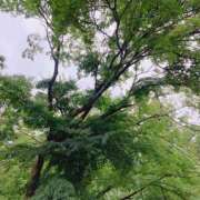 ヒメ日記 2025/07/10 21:16 投稿 実（ミノリ） アバンチュール(五反田)