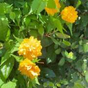 ヒメ日記 2025/07/17 19:16 投稿 実（ミノリ） アバンチュール(五反田)