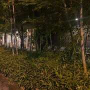 ヒメ日記 2025/07/29 21:31 投稿 実（ミノリ） アバンチュール(五反田)