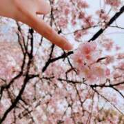 ヒメ日記 2026/03/20 22:46 投稿 実（ミノリ） アバンチュール(五反田)