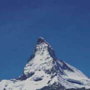 ヒメ日記 2024/12/12 10:15 投稿 やまと 奥鉄オクテツ奈良