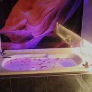 ヒメ日記 2024/12/14 12:20 投稿 やまと 奥鉄オクテツ奈良