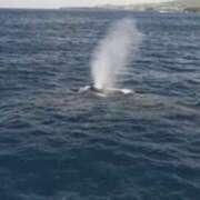 ヒメ日記 2025/01/06 10:35 投稿 やまと 奥鉄オクテツ奈良