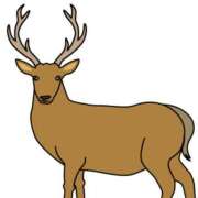 ヒメ日記 2025/02/09 19:20 投稿 やまと 奥鉄オクテツ奈良