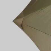 ヒメ日記 2025/02/21 10:05 投稿 やまと 奥鉄オクテツ奈良