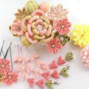 ヒメ日記 2025/02/26 12:25 投稿 やまと 奥鉄オクテツ奈良