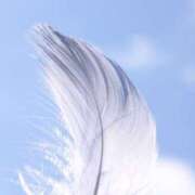 ヒメ日記 2025/03/17 10:20 投稿 やまと 奥鉄オクテツ奈良