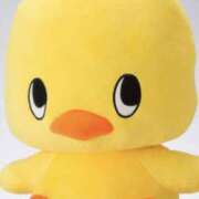 ヒメ日記 2025/04/11 18:30 投稿 やまと 奥鉄オクテツ奈良