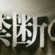 ヒメ日記 2025/04/26 11:20 投稿 やまと 奥鉄オクテツ奈良