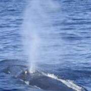 ヒメ日記 2025/05/07 10:50 投稿 やまと 奥鉄オクテツ奈良