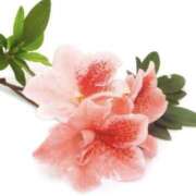 ヒメ日記 2025/05/12 11:05 投稿 やまと 奥鉄オクテツ奈良