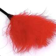 ヒメ日記 2025/06/19 16:00 投稿 やまと 奥鉄オクテツ奈良