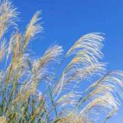 ヒメ日記 2025/08/24 02:45 投稿 やまと 奥鉄オクテツ奈良