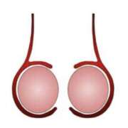 ヒメ日記 2025/09/05 16:05 投稿 やまと 奥鉄オクテツ奈良