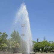 ヒメ日記 2025/09/20 10:05 投稿 やまと 奥鉄オクテツ奈良