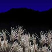 ヒメ日記 2025/09/22 02:05 投稿 やまと 奥鉄オクテツ奈良