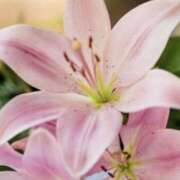 ヒメ日記 2025/10/11 13:20 投稿 やまと 奥鉄オクテツ奈良